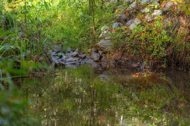 $274,900 | 736 Wilson Cemetery Road, Awendaw, SC 29429