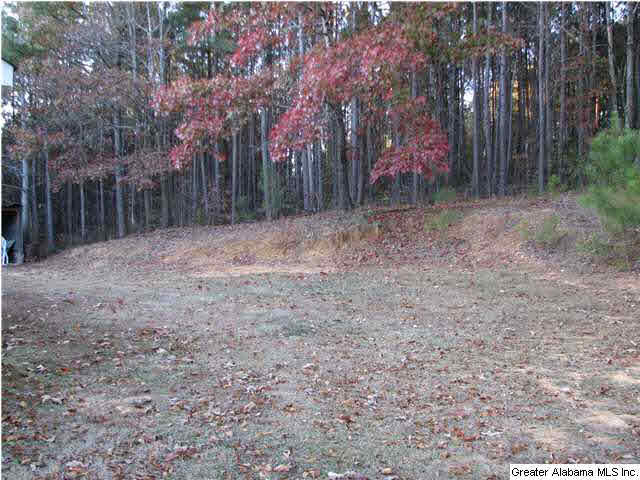 573 Arrowhead Road Jasper, AL 35503 - Photo 9 of 12
