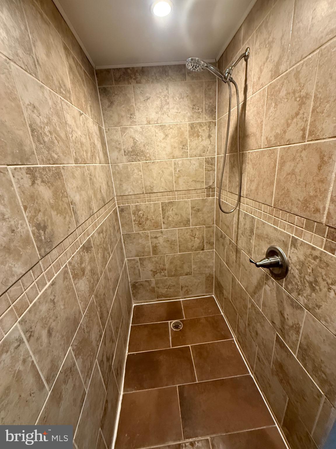 106 North Rock Ridge Lane Mount Storm, WV 26739 - Photo 25 of 78 a bathroom with a shower