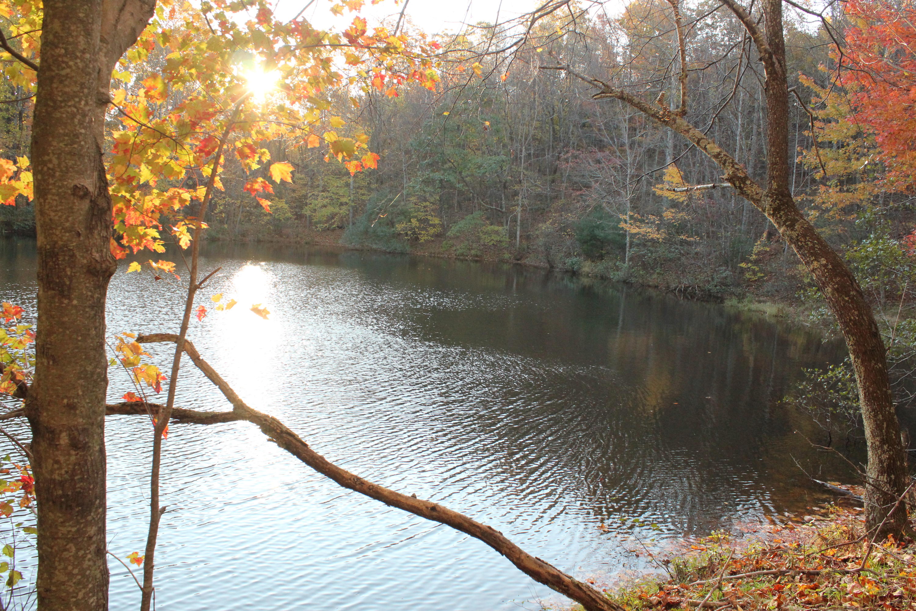 a view of a lake