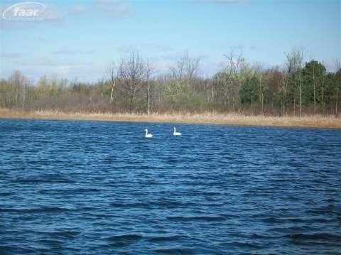 1284 Butcher Road Fenton, MI 48430 - Photo 18 of 43 20377142-17.JPG