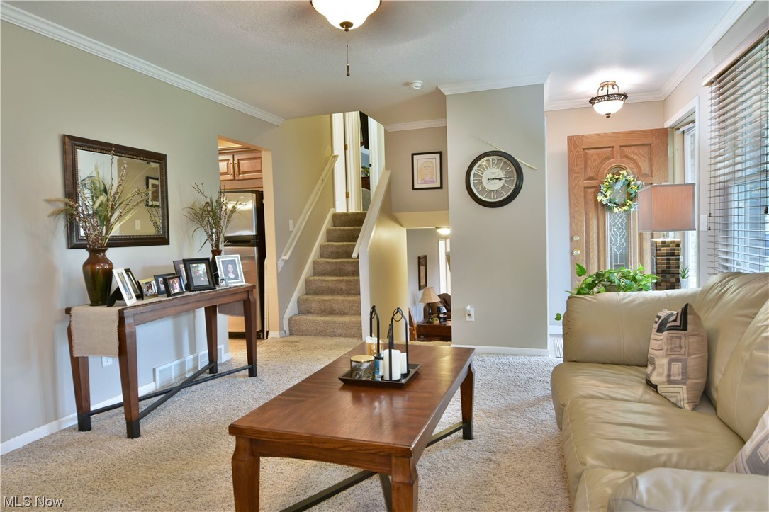 4865 New Road Youngstown, OH 44515 - Photo 10 of 35 Main level living room