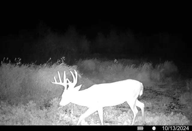 $1,150,000 | 73 Medina Wi 53559, Marshall, WI 53559