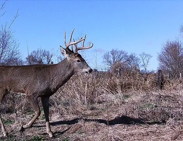 $1,150,000 | 73 Medina Wi 53559, Marshall, WI 53559