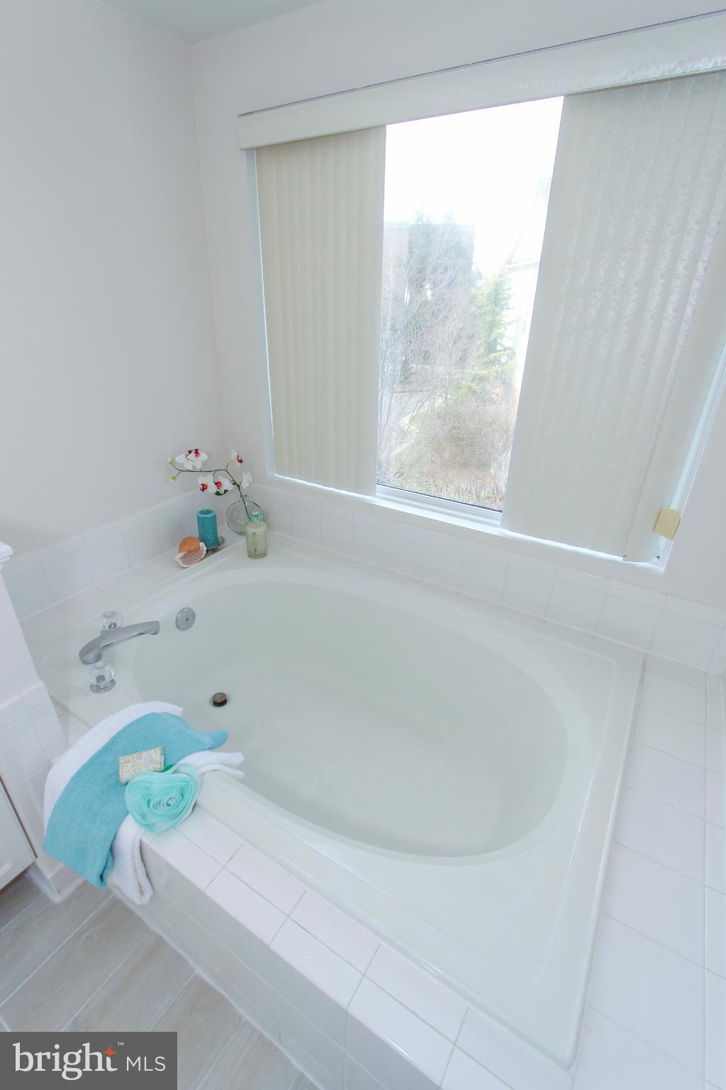 1706 Random Stone Court Reston, VA 20190 - Photo 12 of 30 a bathroom with a sink and bathtub