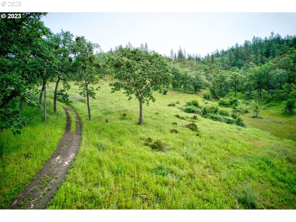 1745 Rifle Range Street Roseburg, OR 97470 - Photo 43 of 47