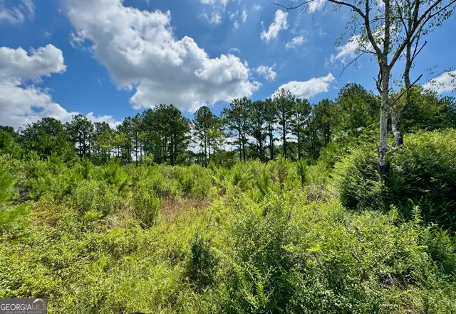 a view of a basketball court