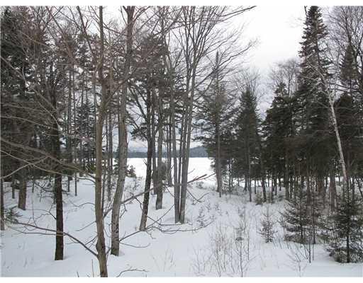 186 Quimby Pond Road Rangeley, ME 04970 - Photo 3 of 10 Land/Lot.