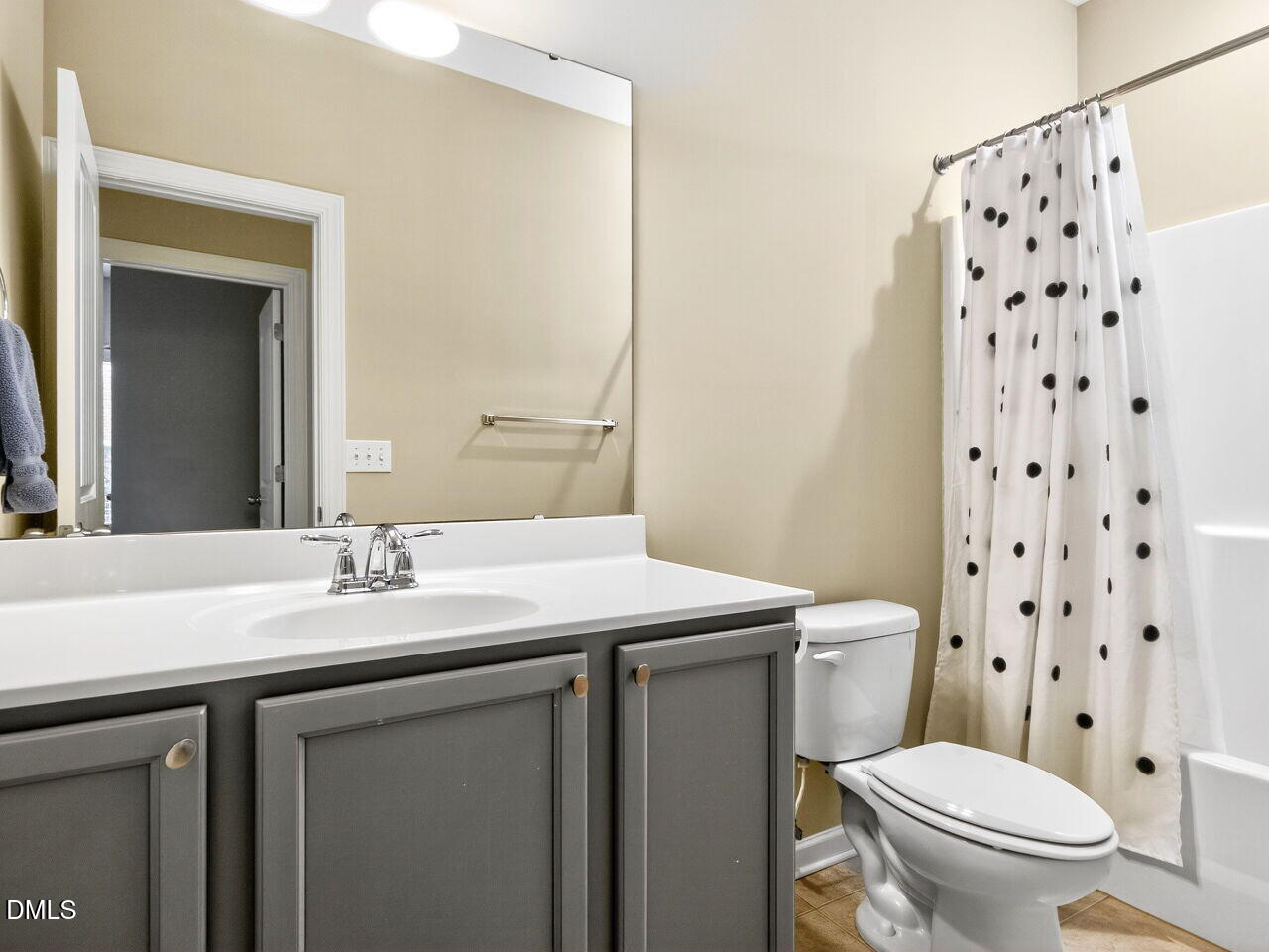 1133 Chapanoke Road Raleigh, NC 27603 - Photo 26 of 48 a bathroom with a sink a toilet a mirror and shower curtain