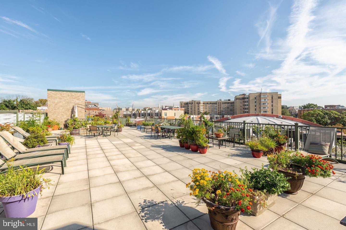 1701 Kalorama Road Northwest, Unit Q1 Washington, DC 20009 - Photo 6 of 8