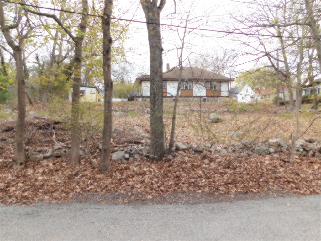 22 Vernon Street Boston, MA 02136 - Photo 21 of 24