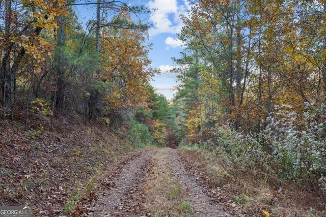 $1,900,000 | 1251 Bar T Ranch Road, Talking Rock, GA 30175