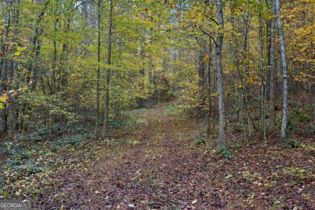 $1,900,000 | 1251 Bar T Ranch Road, Talking Rock, GA 30175