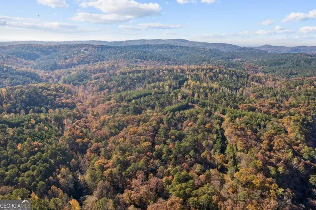 $1,900,000 | 1251 Bar T Ranch Road, Talking Rock, GA 30175