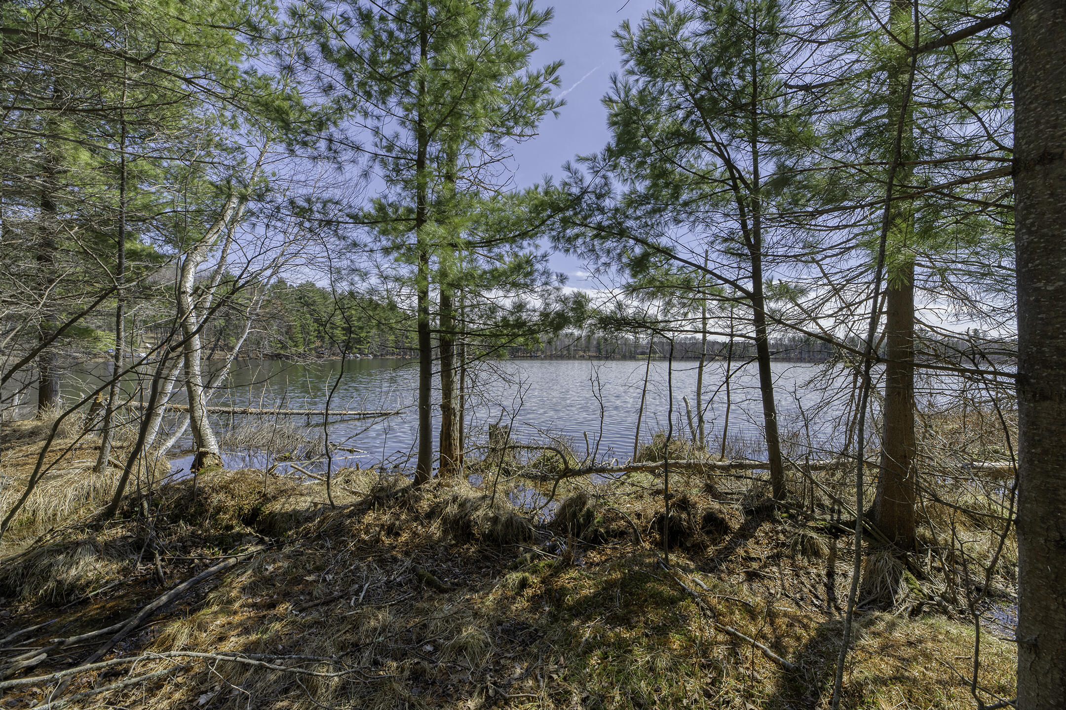 Lot Shot 15
