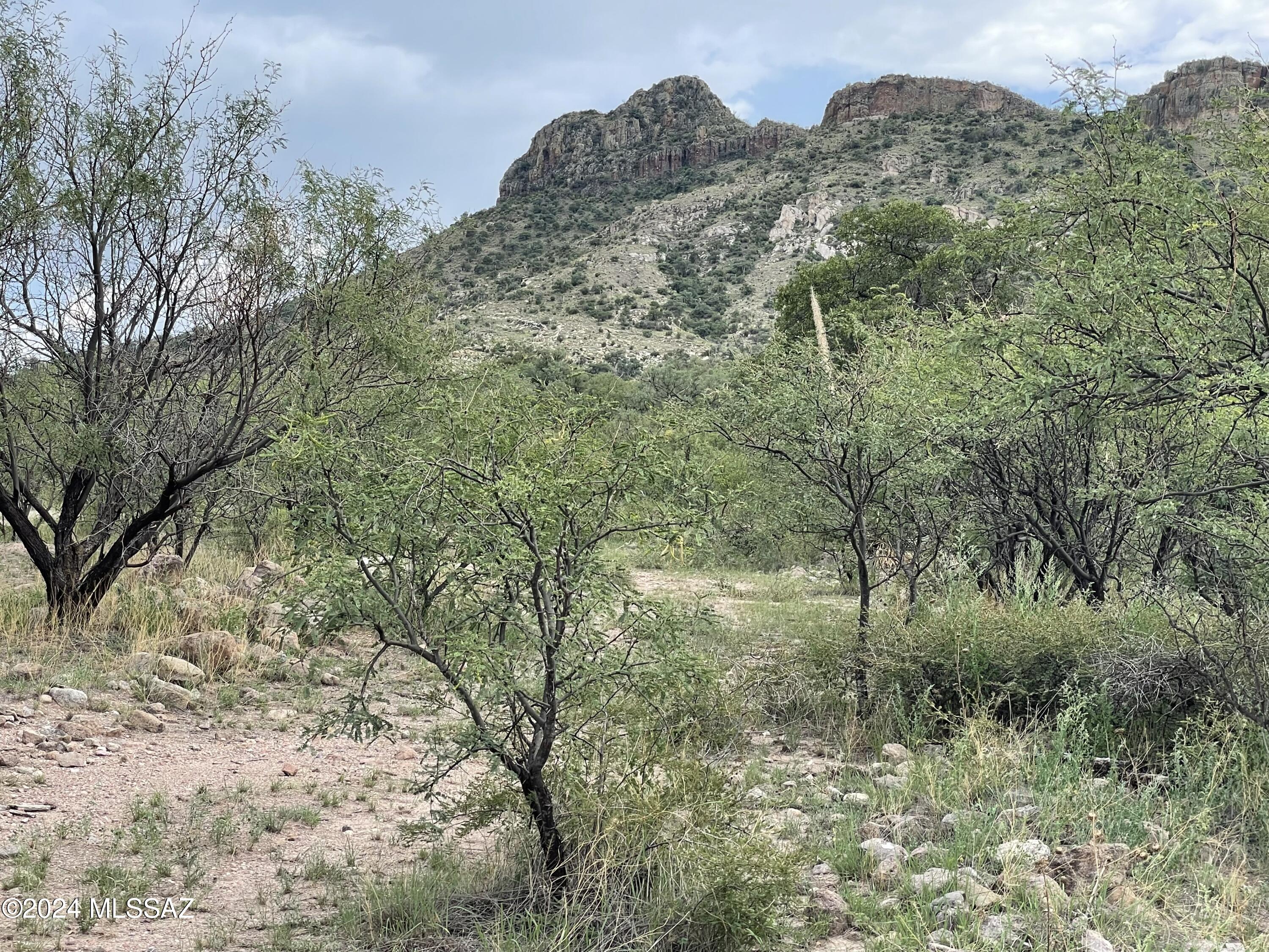 Tbd Tbd Calle De La, Unit 143 5 Rio Rico, AZ 85648 - Photo 14 of 20