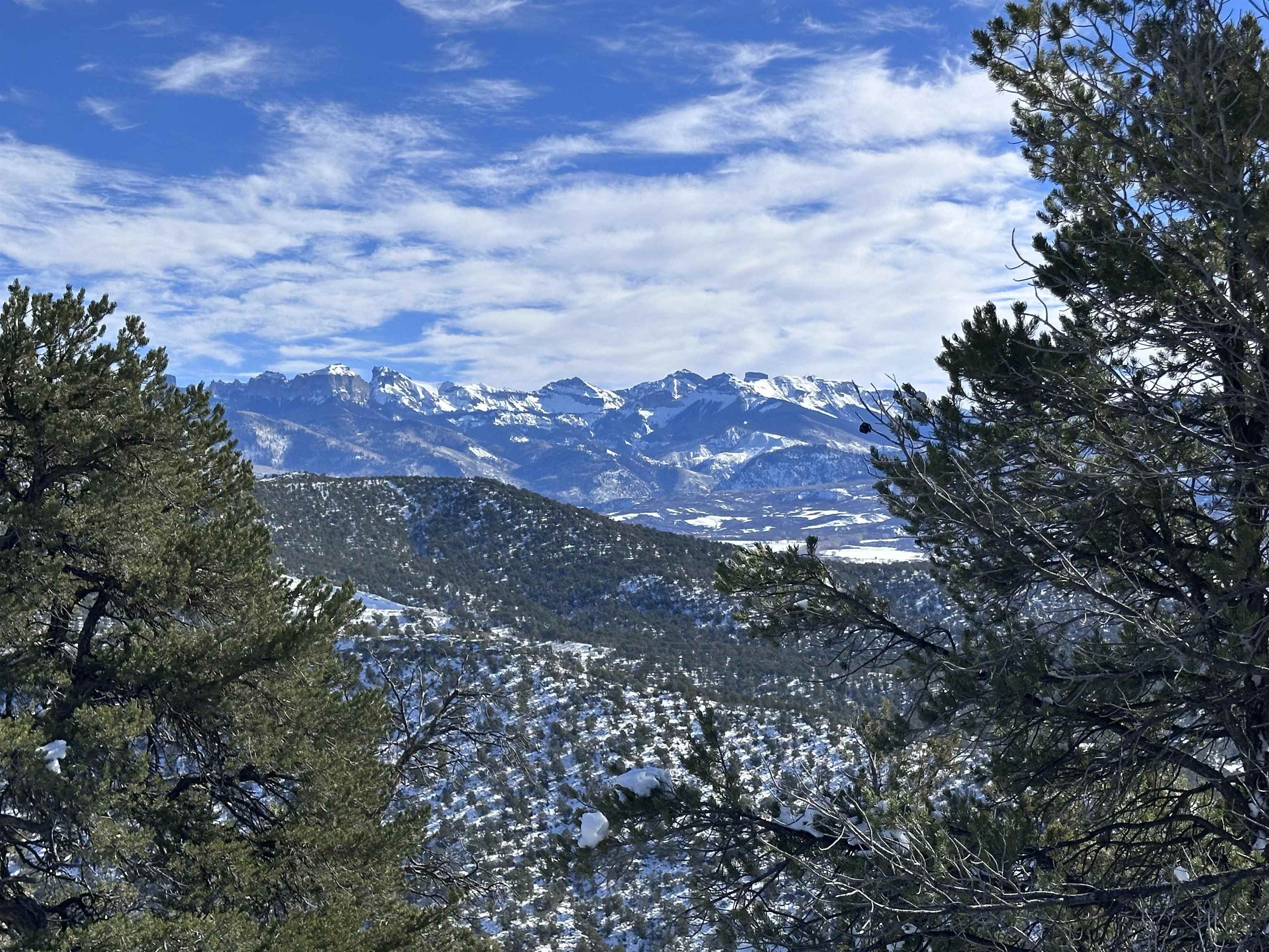 Tbd Pointe Escape Drive, Unit 4 Ridgway, CO 81432 - Photo 11 of 18 Gallery Image 11
