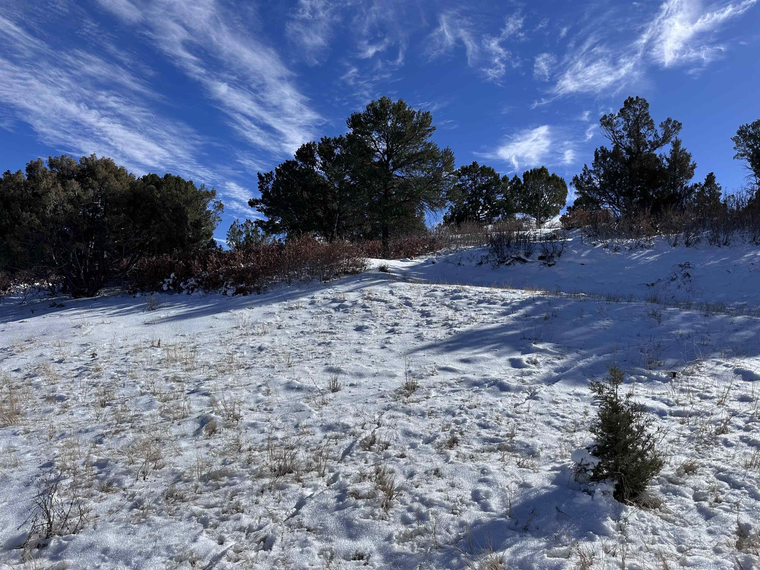 Tbd Pointe Escape Drive, Unit 4 Ridgway, CO 81432 - Photo 3 of 18 Gallery Image 3