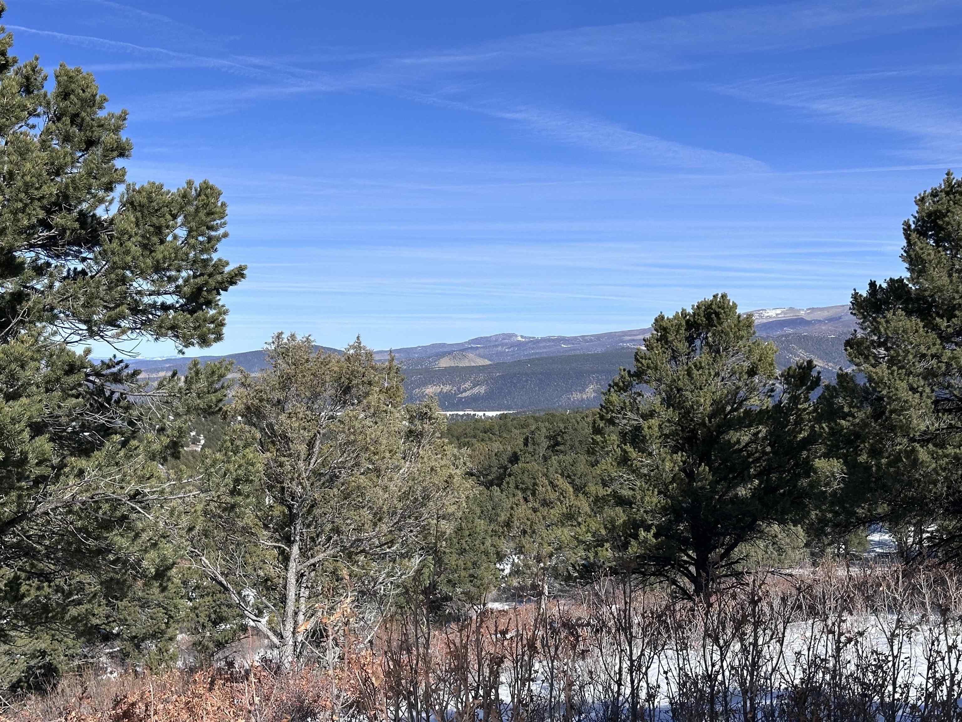 Tbd Pointe Escape Drive, Unit 4 Ridgway, CO 81432 - Photo 4 of 18 Gallery Image 4
