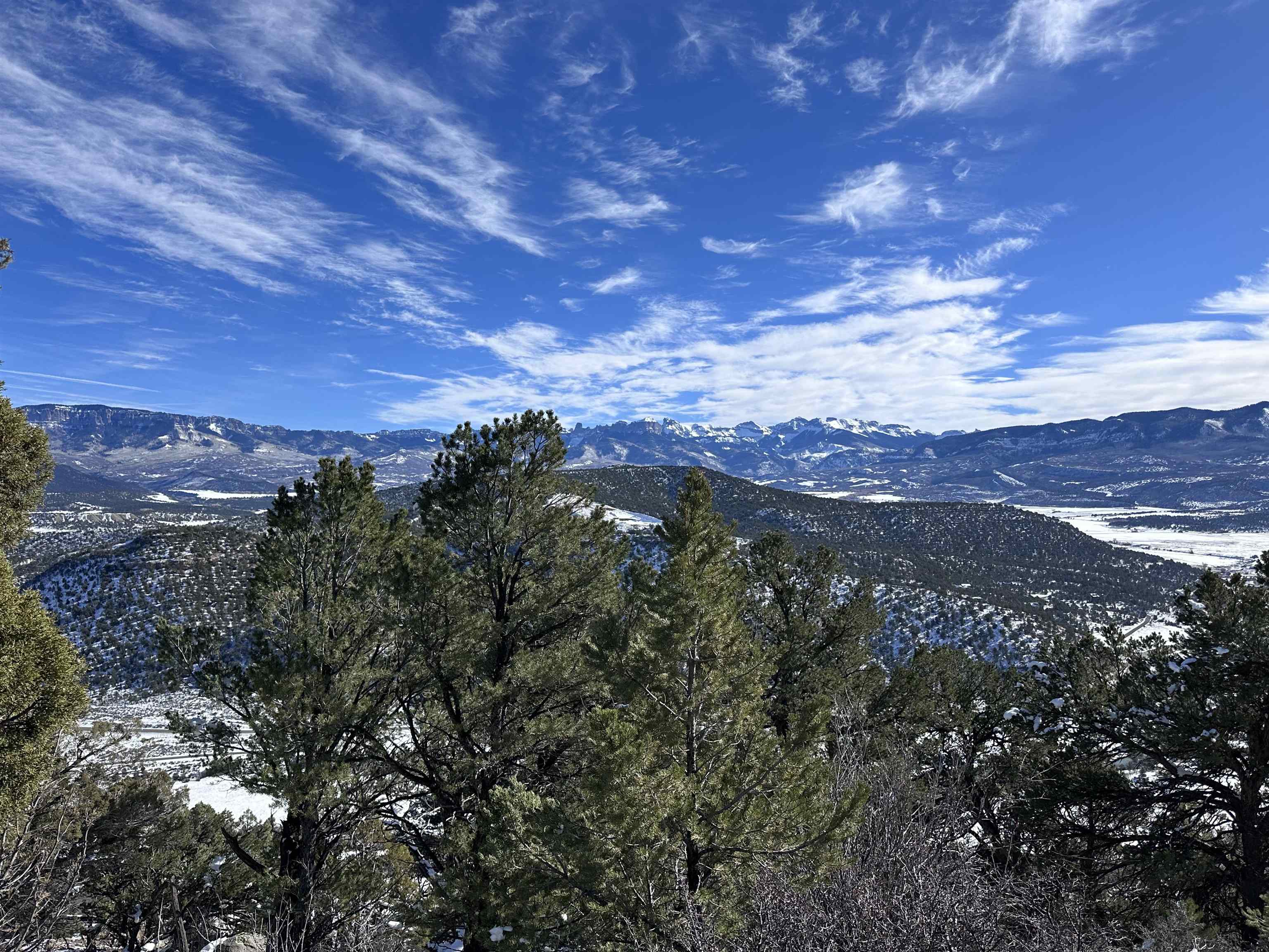 Tbd Pointe Escape Drive, Unit 4 Ridgway, CO 81432 - Photo 7 of 18 Gallery Image 7