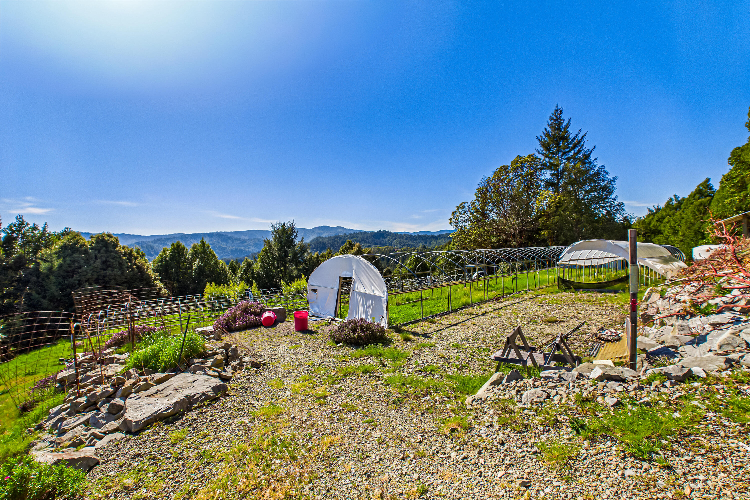 12600 Briceland Road Whitethorn, CA 95589 - Photo 56 of 111