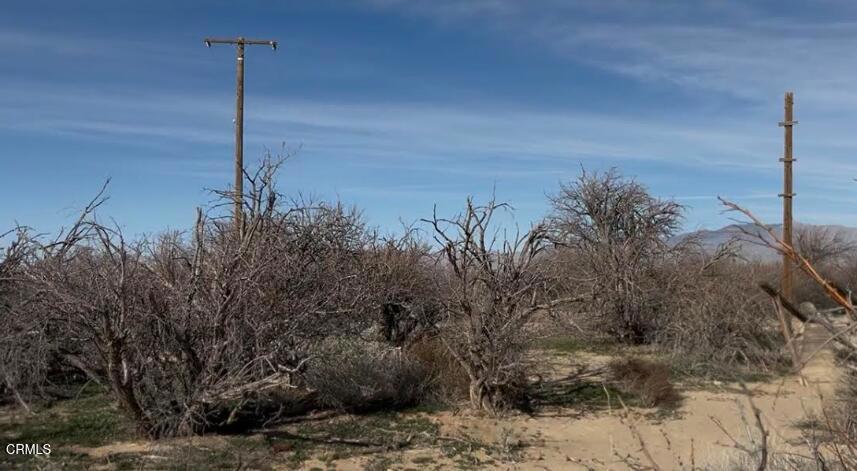 91525 Palm Road Baker, CA 92309 - Photo 12 of 37 Back of Mobile Home showing Electric Pol