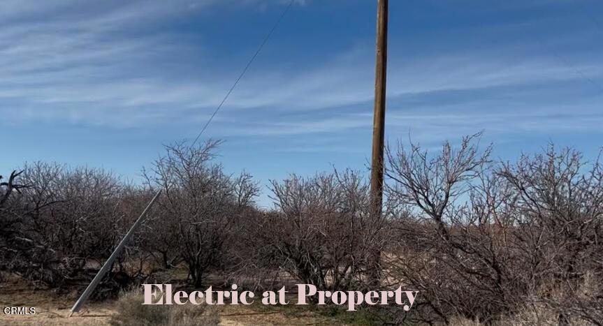 91525 Palm Road Baker, CA 92309 - Photo 12 of 39 Electriic Pole for Property