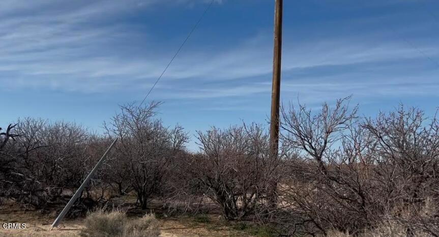 91525 Palm Road Baker, CA 92309 - Photo 13 of 37 Electriic Pole for Property