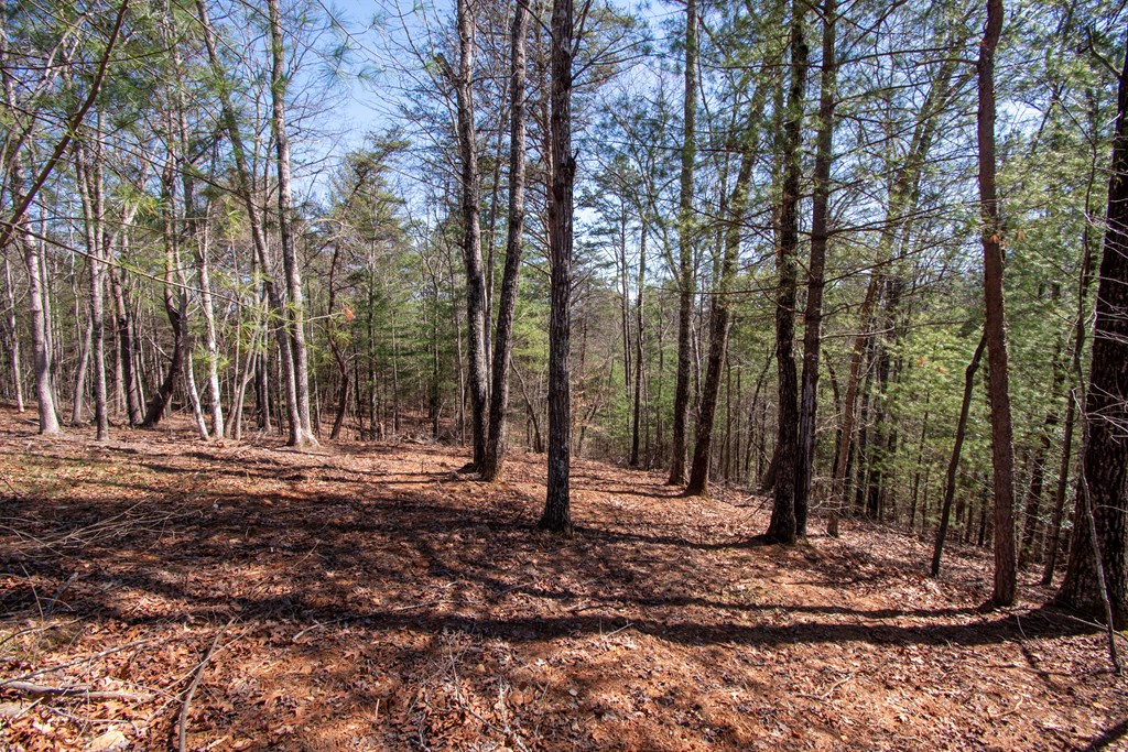 1456 Orton Road Murphy, NC 28906 - Photo 10 of 14