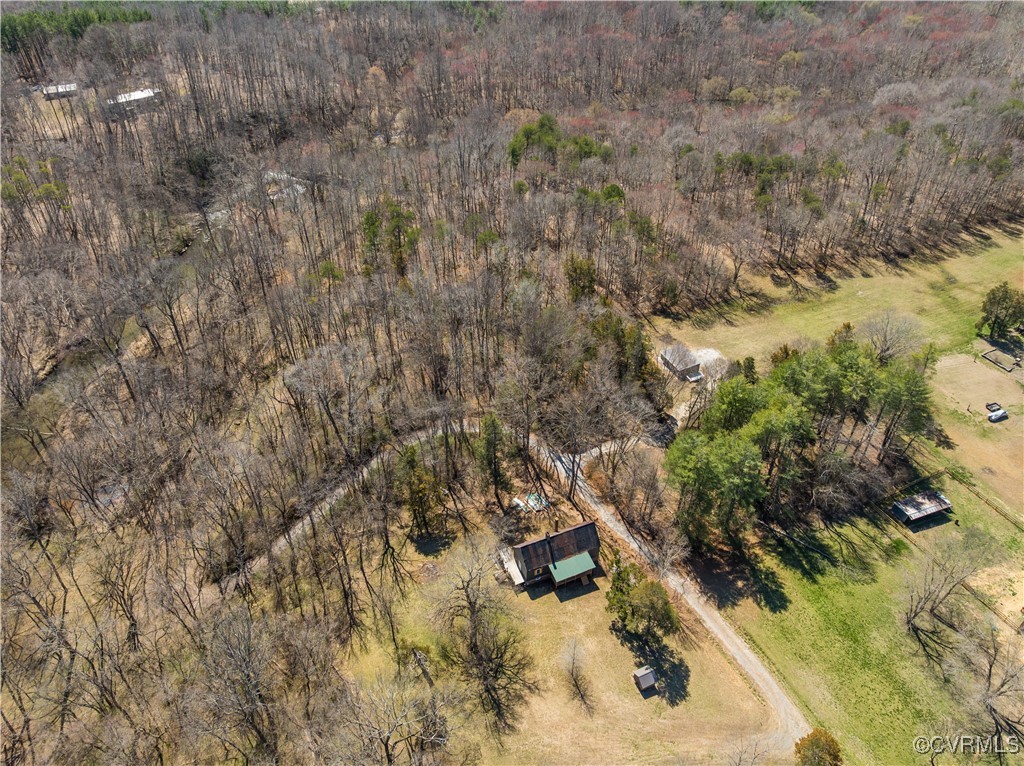14 Ca Ira Road Cumberland, VA 23040 - Photo 14 of 43 a view of a forest with trees in the background