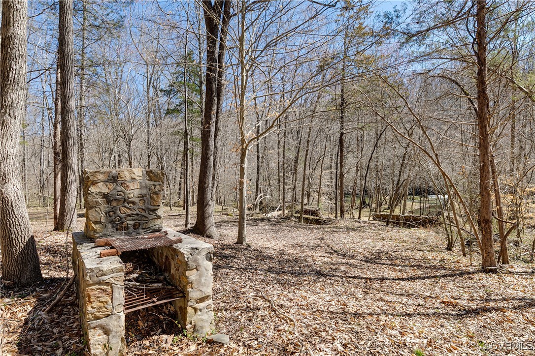 14 Ca Ira Road Cumberland, VA 23040 - Photo 34 of 43 a backyard of a house with lots of green space