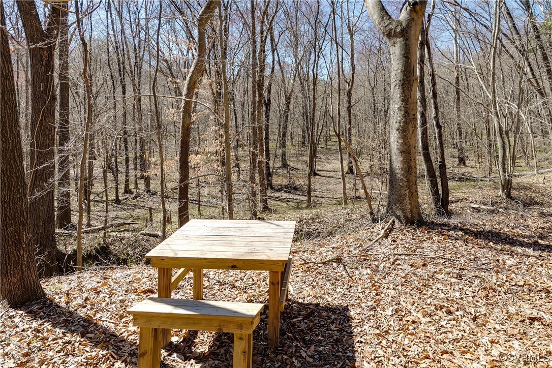 14 Ca Ira Road Cumberland, VA 23040 - Photo 40 of 43