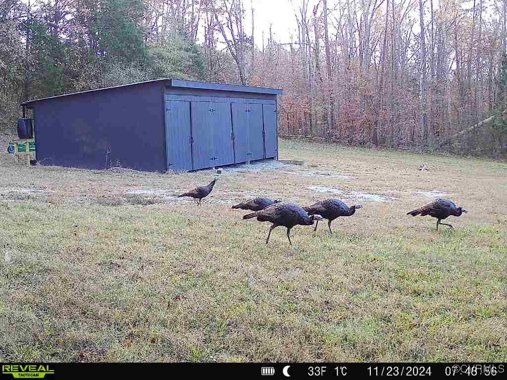 14 Ca Ira Road Cumberland, VA 23040 - Photo 41 of 43 a backyard of a house with table and chairs