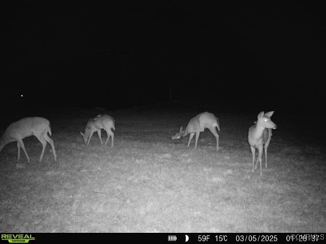 14 Ca Ira Road Cumberland, VA 23040 - Photo 42 of 43 a view of a room with a chair