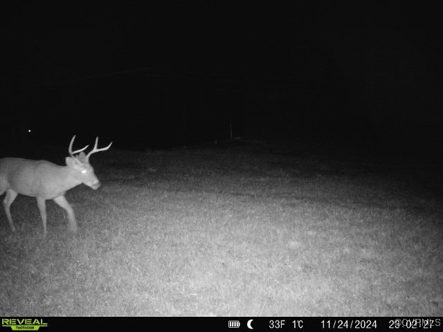 14 Ca Ira Road Cumberland, VA 23040 - Photo 43 of 43 a view of an empty room with a chair