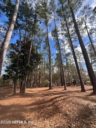 a view of road with trees