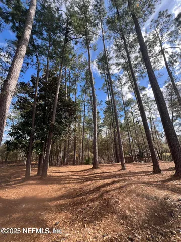 a view of road with trees