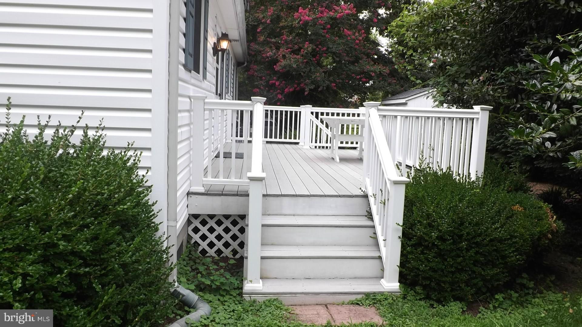 103 Douglas Ln Street St. Michaels, MD 21663 - Photo 3 of 28