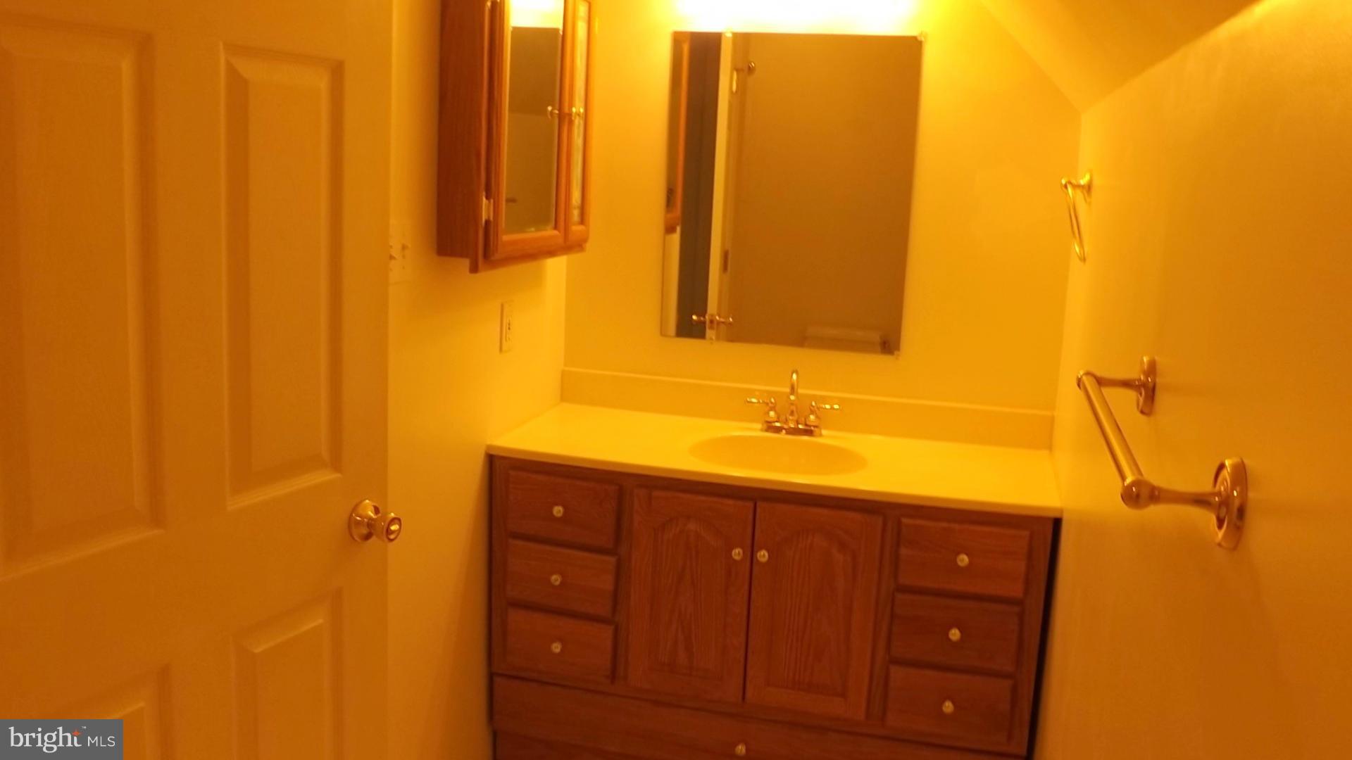 103 Douglas Ln Street St. Michaels, MD 21663 - Photo 21 of 28 a bathroom with a sink and a mirror