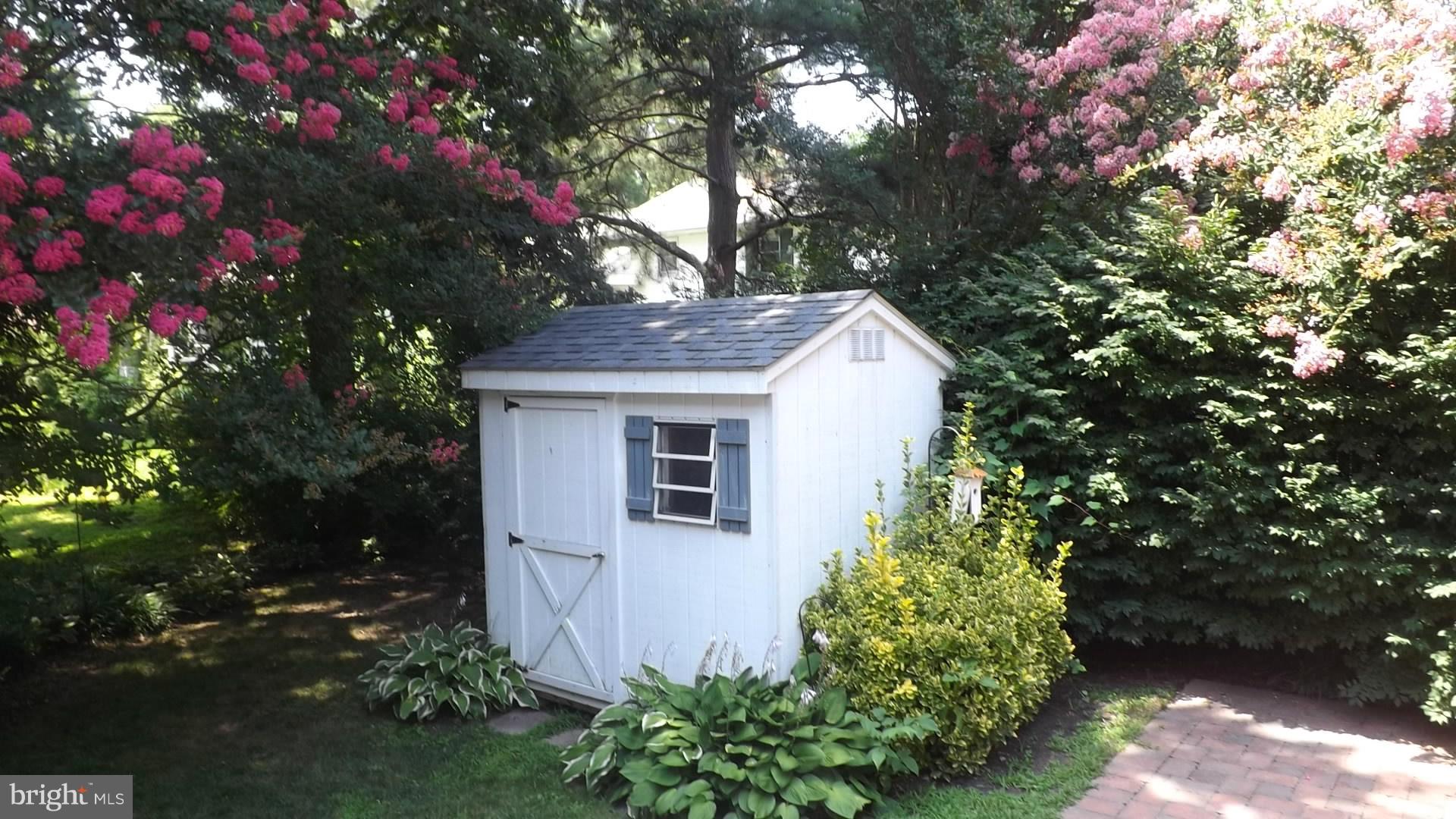 103 Douglas Ln Street St. Michaels, MD 21663 - Photo 25 of 28 a backyard of a house with lots of green space