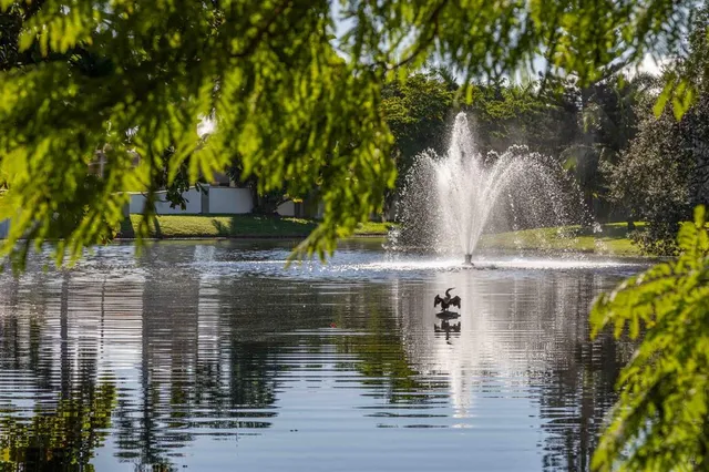 a store filled with lots of different kinds of flowers