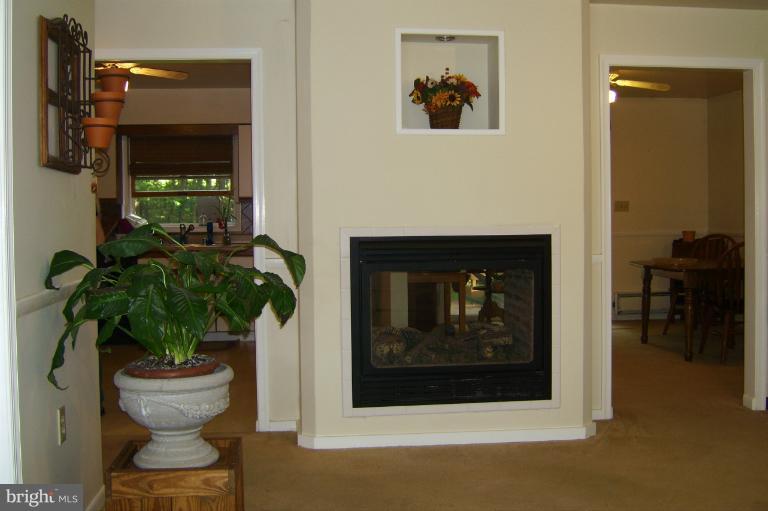 2249 Dr Stitely Road New Windsor, MD 21776 - Photo 5 of 27 Back View of Fireplace