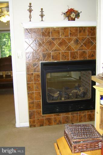 2249 Dr Stitely Road New Windsor, MD 21776 - Photo 6 of 27 Front View of Fireplace
