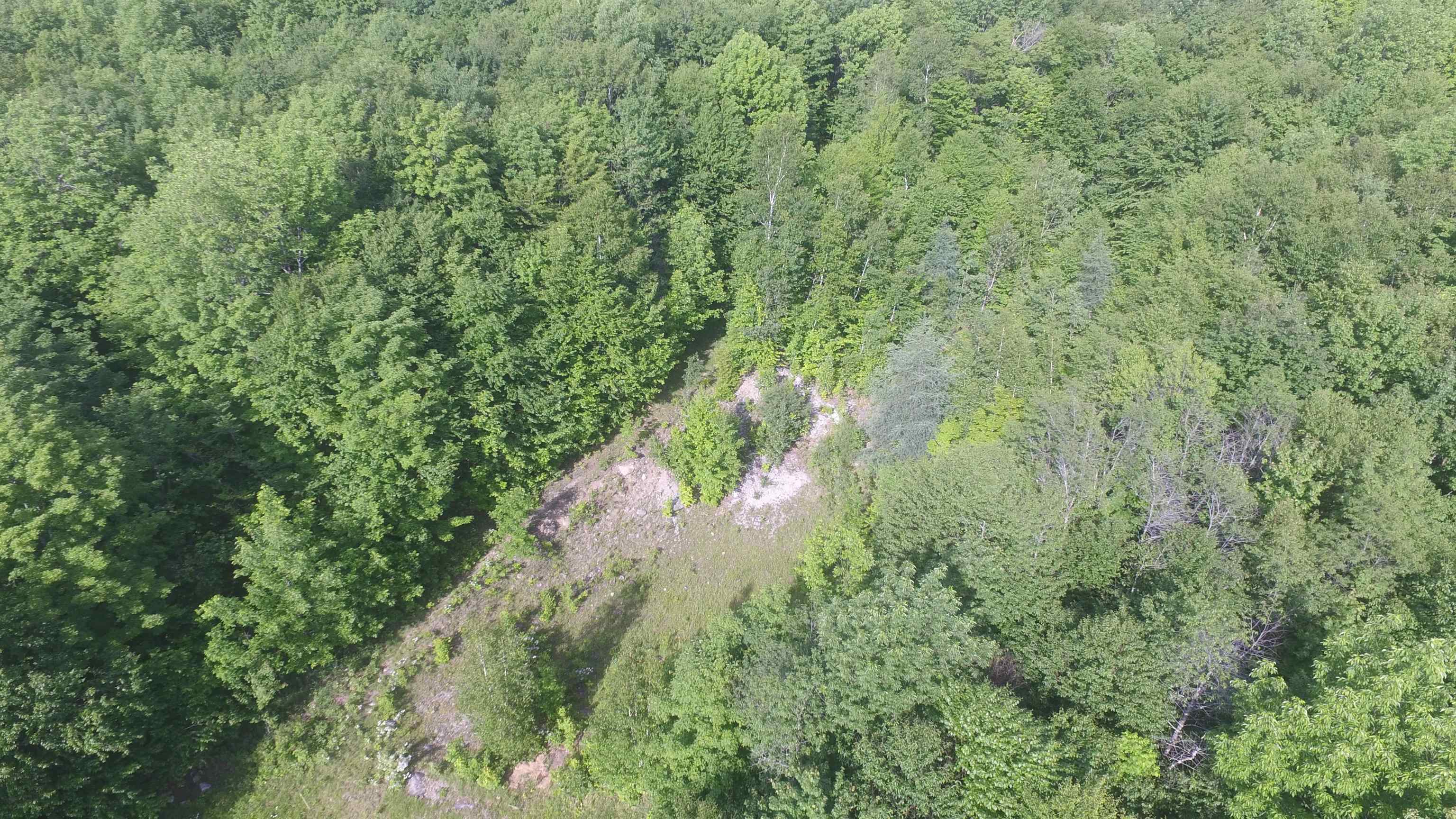 0 Red Brook Road Marshfield, VT 05658 - Photo 4 of 6