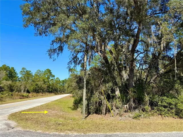a view of a yard with a tree