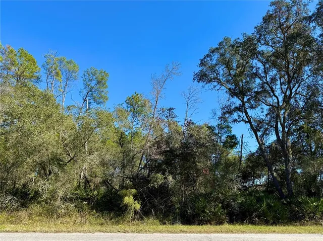 a view of a yard with wooden fence