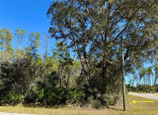 a view of a yard with large trees