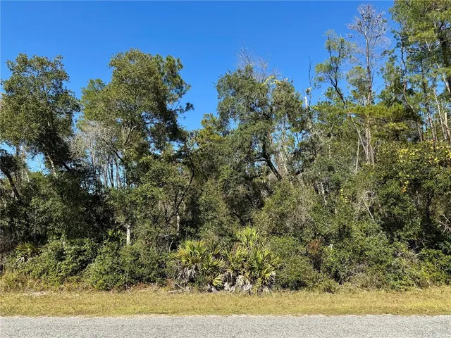 a view of a yard with large trees