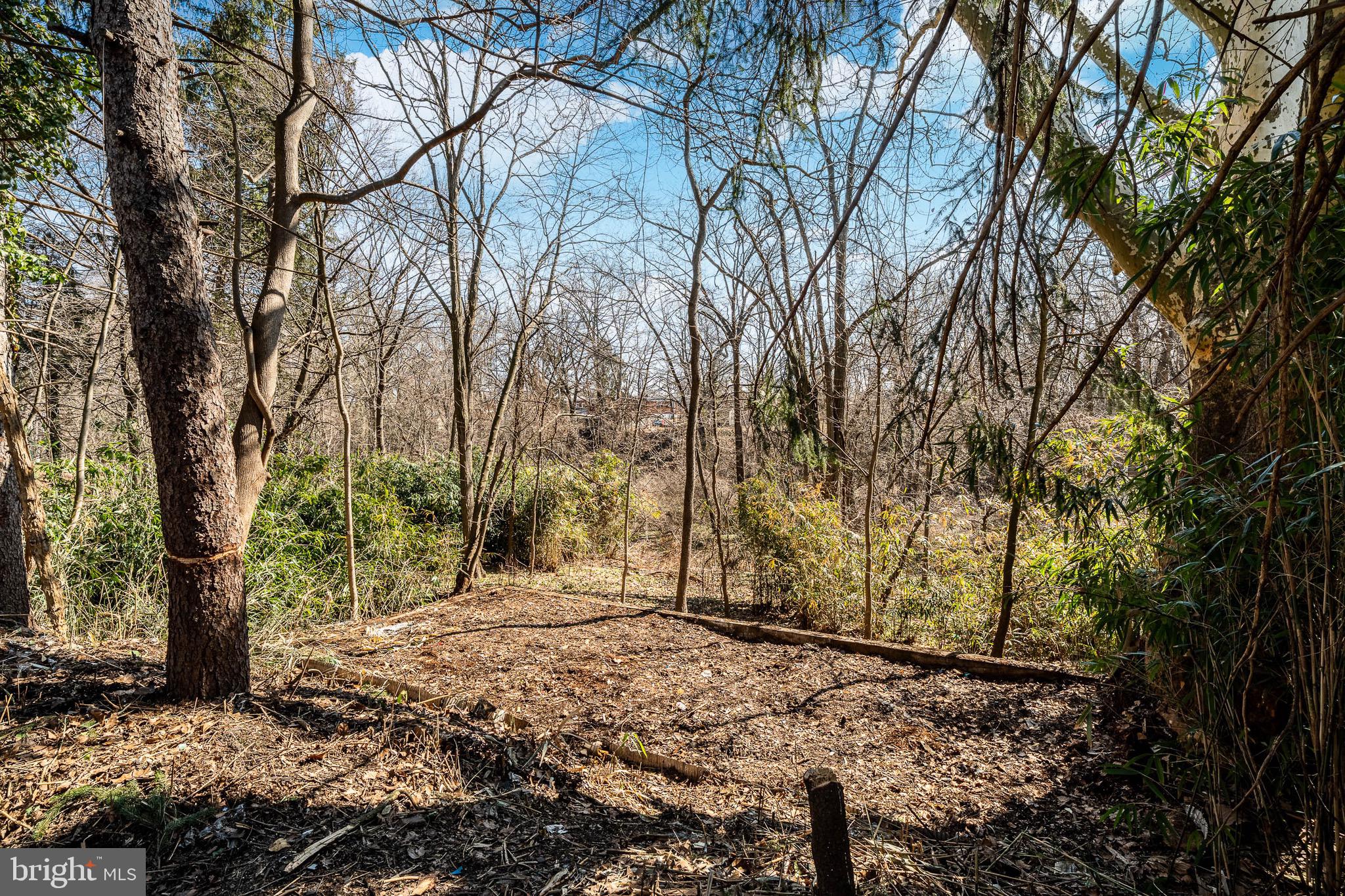 700 East Ridley Avenue Ridley Park, PA 19078 - Photo 43 of 43