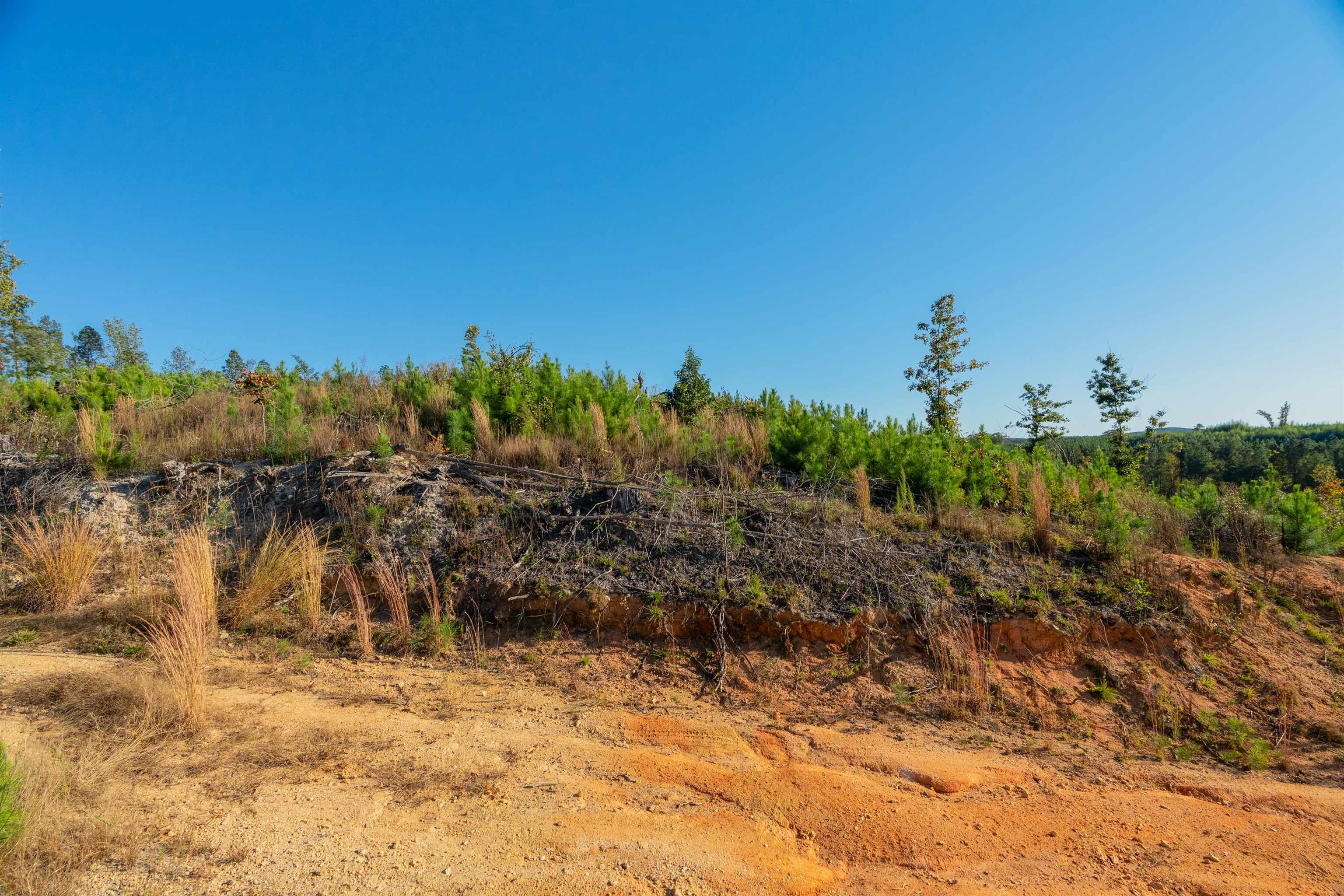 0 Quarter Round Road Pacolet, SC 29372 - Photo 11 of 25